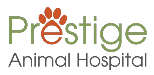 Link to Homepage of Prestige Animal Hospital  -  South Fontana